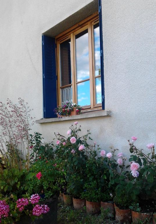 L'Orme-Vial Bed and Breakfast Saint-Galmier Exteriör bild